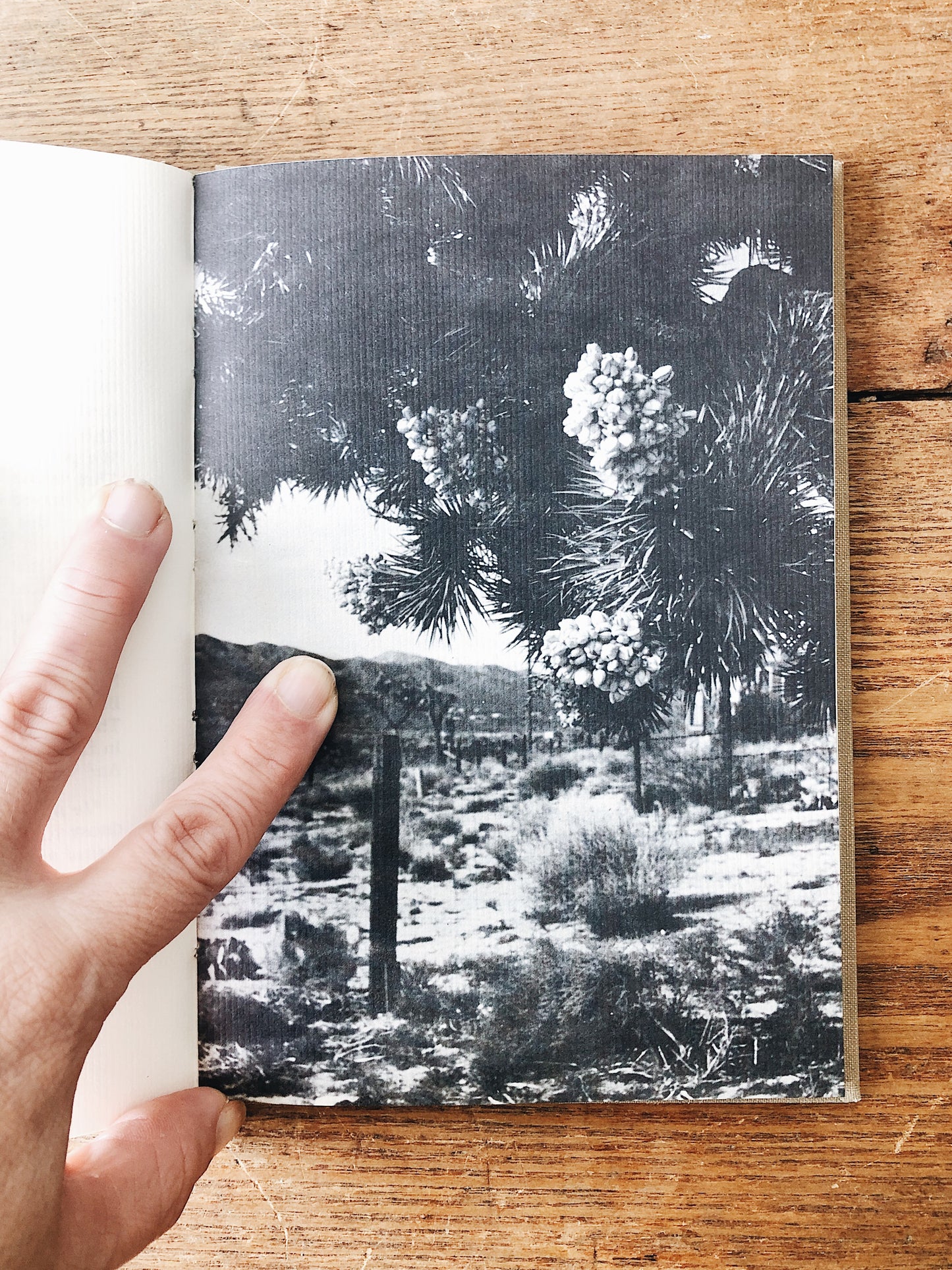 Vintage Poetry Book