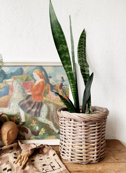 Vintage Plant Basket
