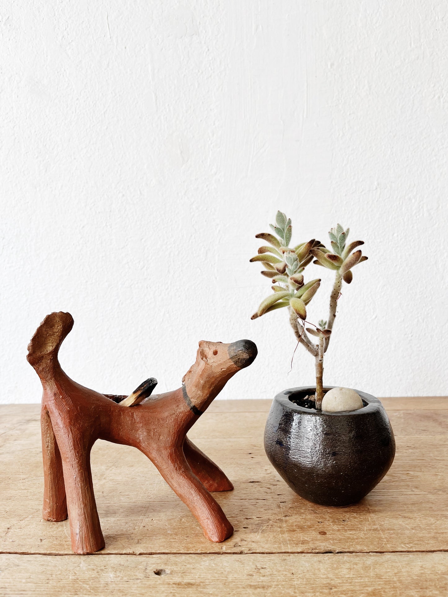 Potted Succulents in Vintage