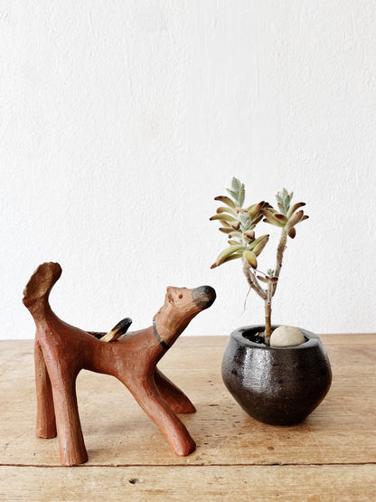 Potted Succulents in Vintage