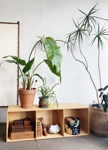 Vintage Wood Cubby Shelf