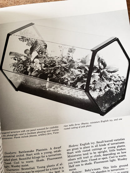 Wood and Glass Terrarium With Vintage Book