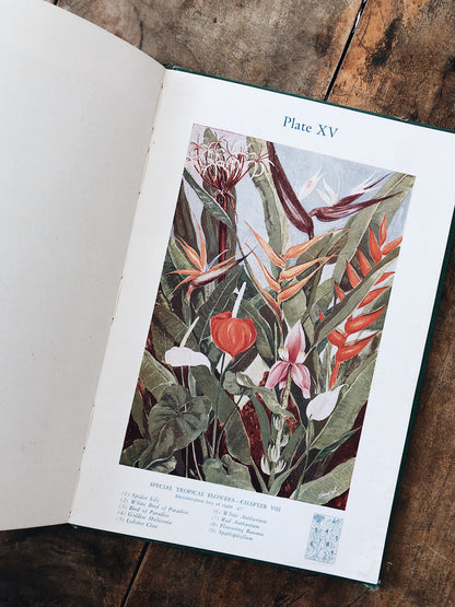 Vintage Botanical Book