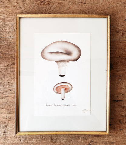 Antique Framed Mushroom Plate