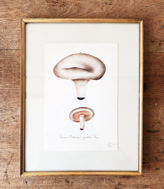 Antique Framed Mushroom Plate
