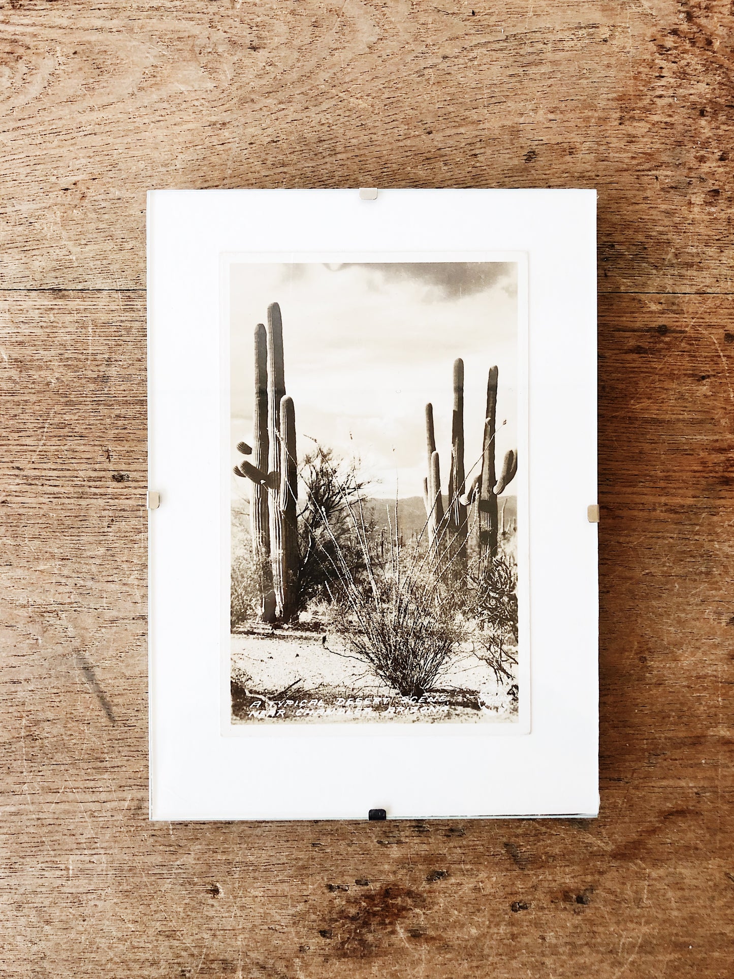 Antique Framed Desert Postcard