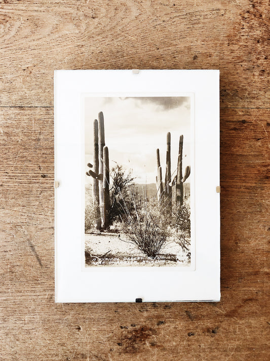 Antique Framed Desert Postcard