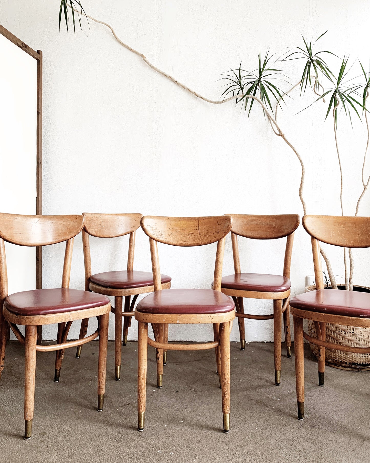 Mid Century Thonet Chairs Set of Five
