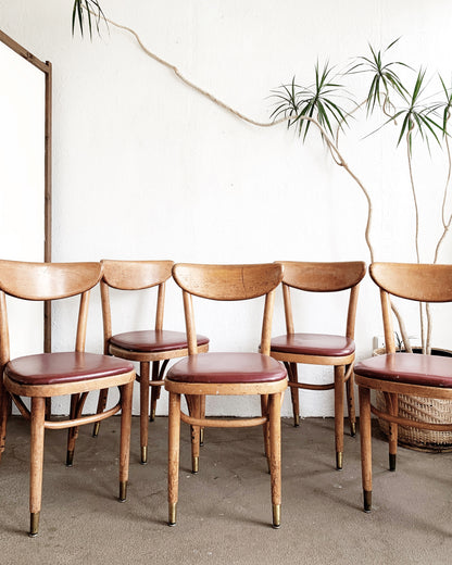 Mid Century Thonet Chairs Set of Five