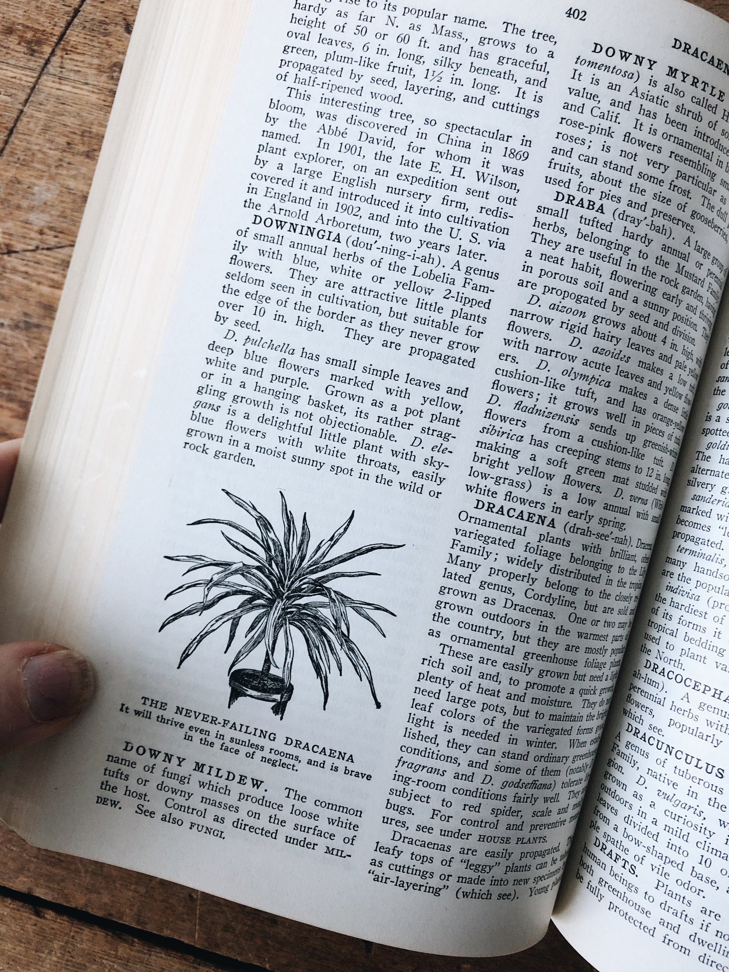 Vintage 1930s Leatherbound Gardening Encyclopedia