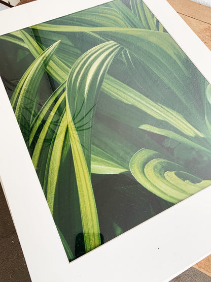 Vintage Enlarged Matted Photo