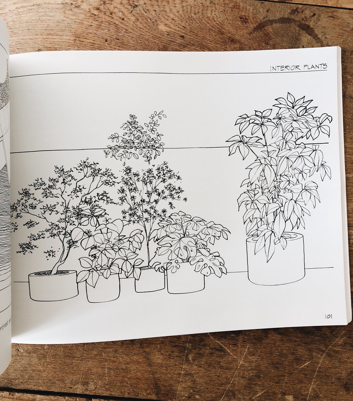 Vintage Architectural Drawing Book
