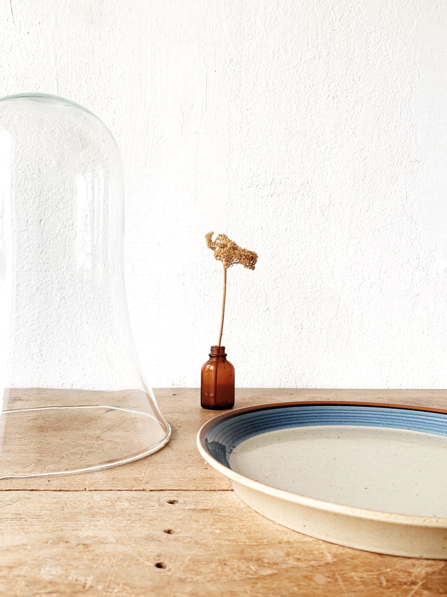 Vintage Glass Cloche with Potters Art Plate