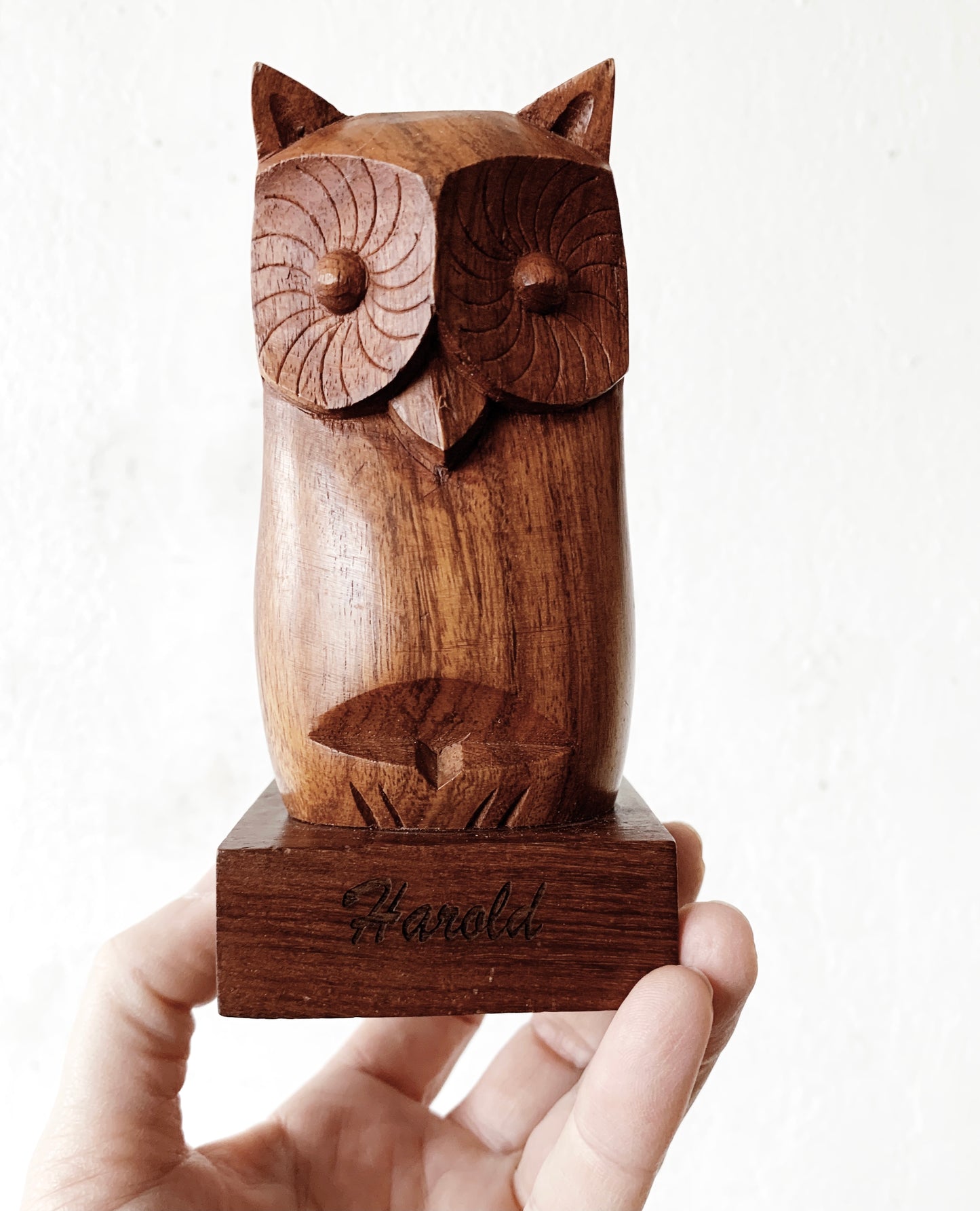 Harold the Eyeglass Holder