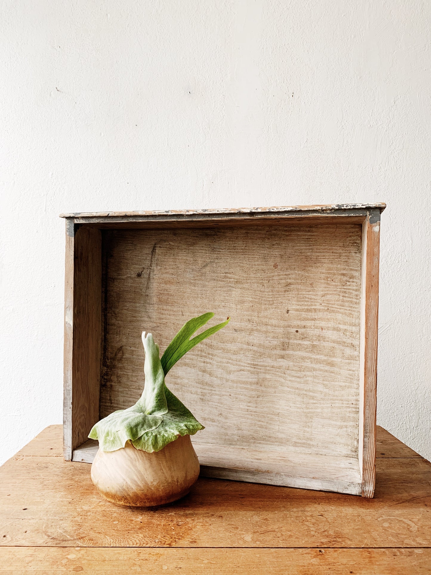 Vintage Hanging Wood Shelf