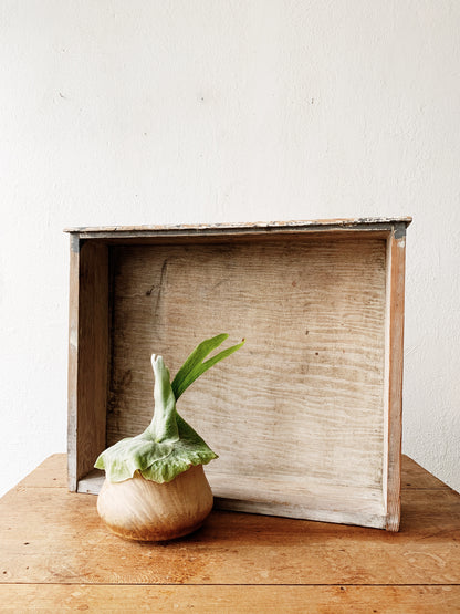 Vintage Hanging Wood Shelf