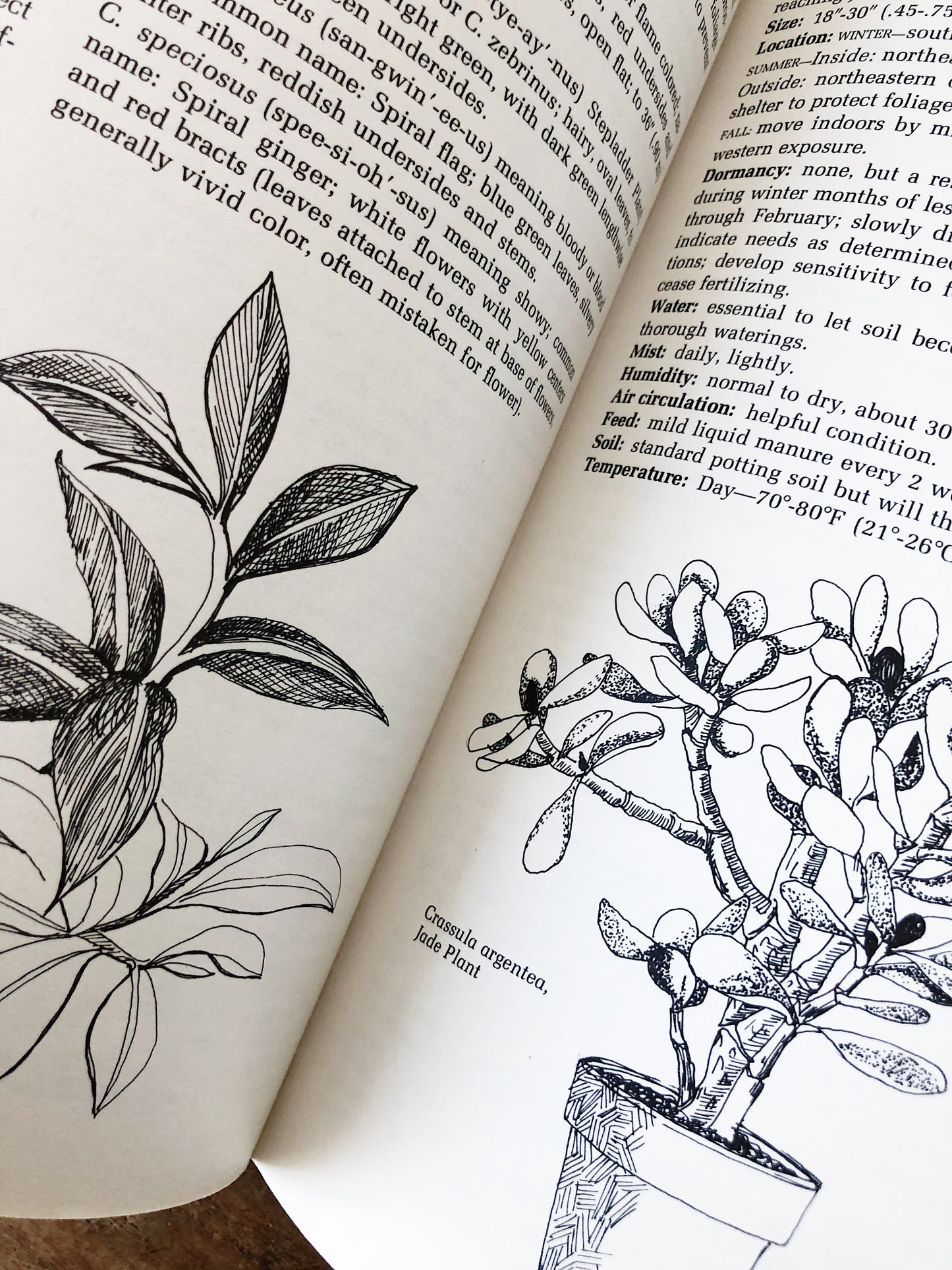Vintage Houseplant Book