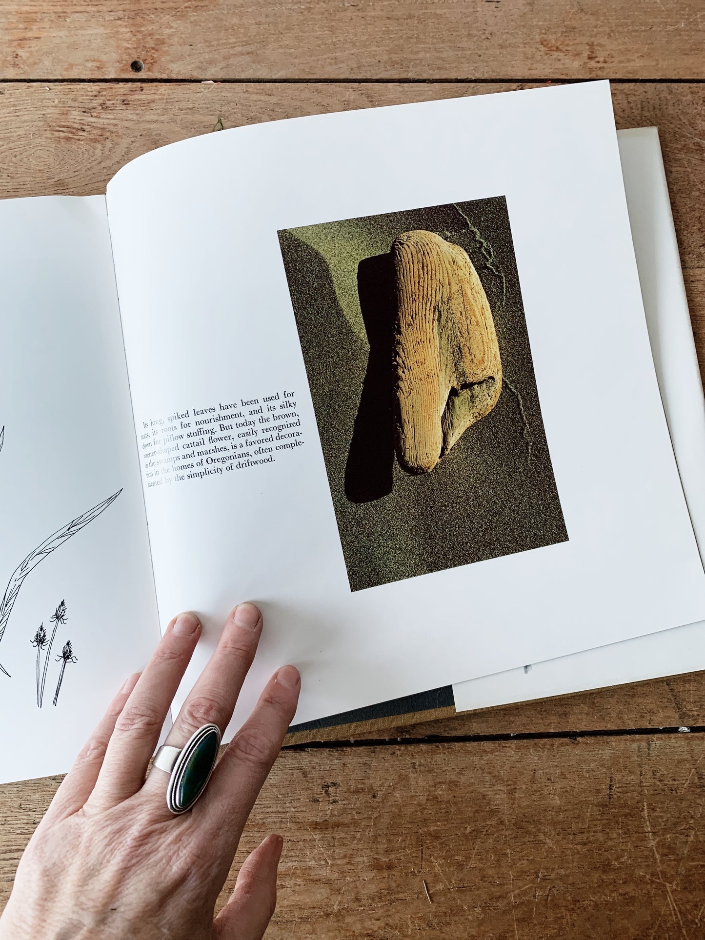 A Portrait of Oregon Hardcover Art Book 1973