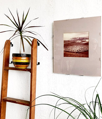 Vintage Icelandic Film Photo