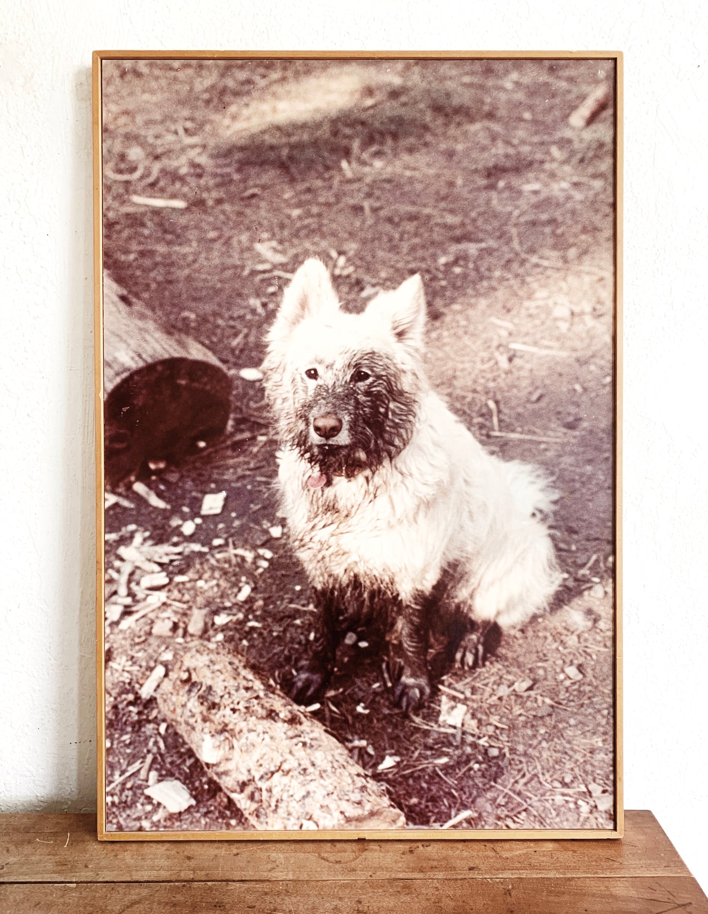 Vintage Enlarged Framed Photograph