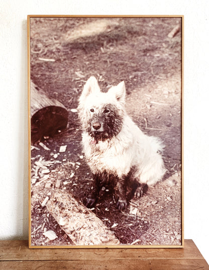 Vintage Enlarged Framed Photograph