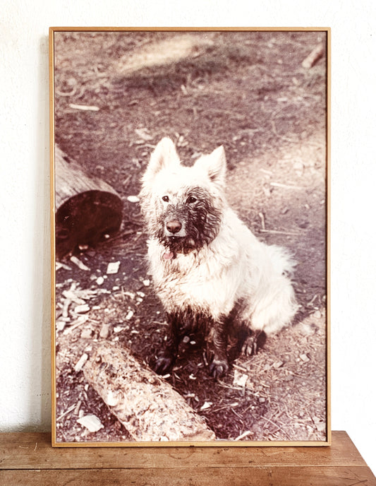Vintage Enlarged Framed Photograph