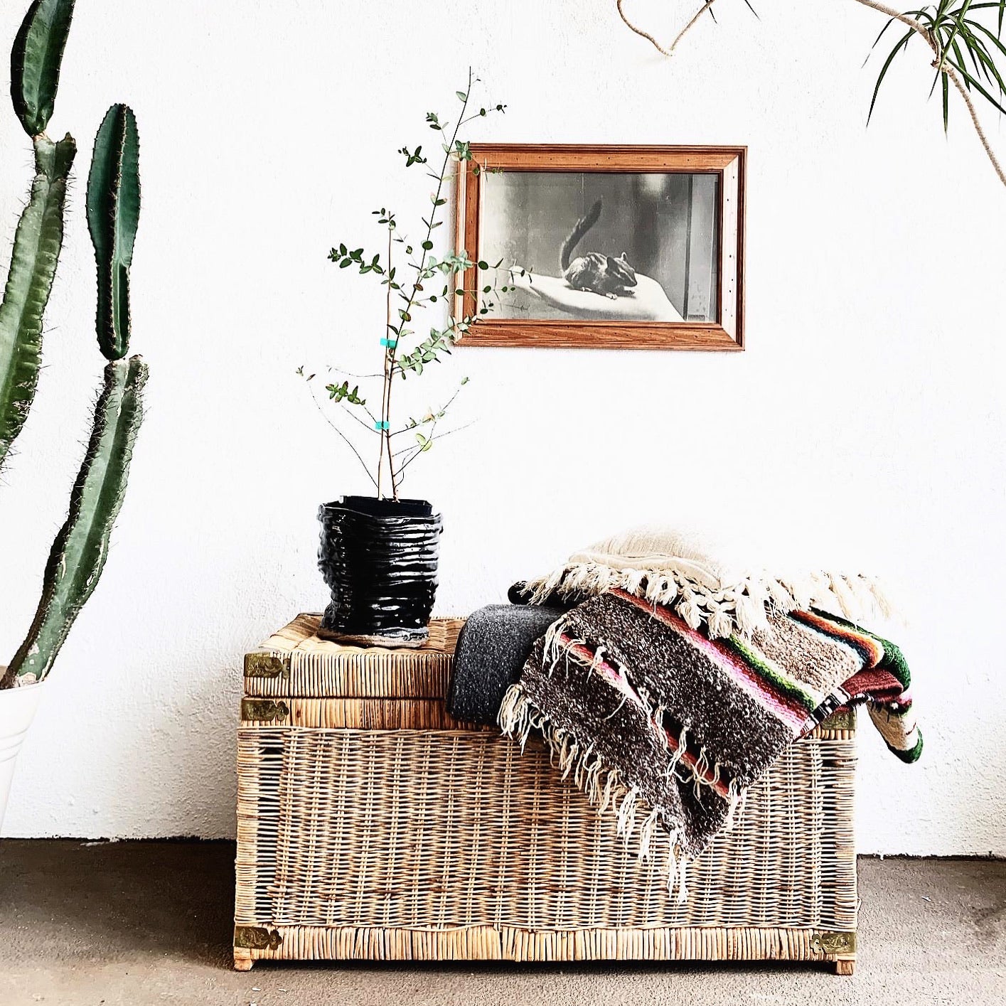 Vintage Wicker Trunk