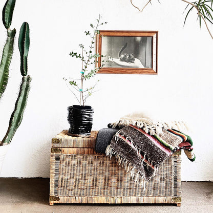 Vintage Wicker Trunk