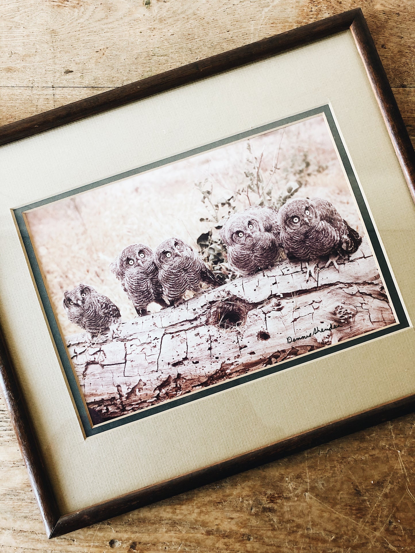 Vintage Original Film Photo