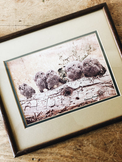 Vintage Original Film Photo