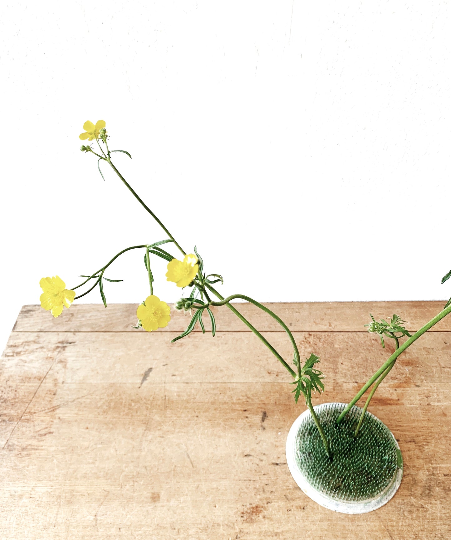 Large Vintage Floral Frog