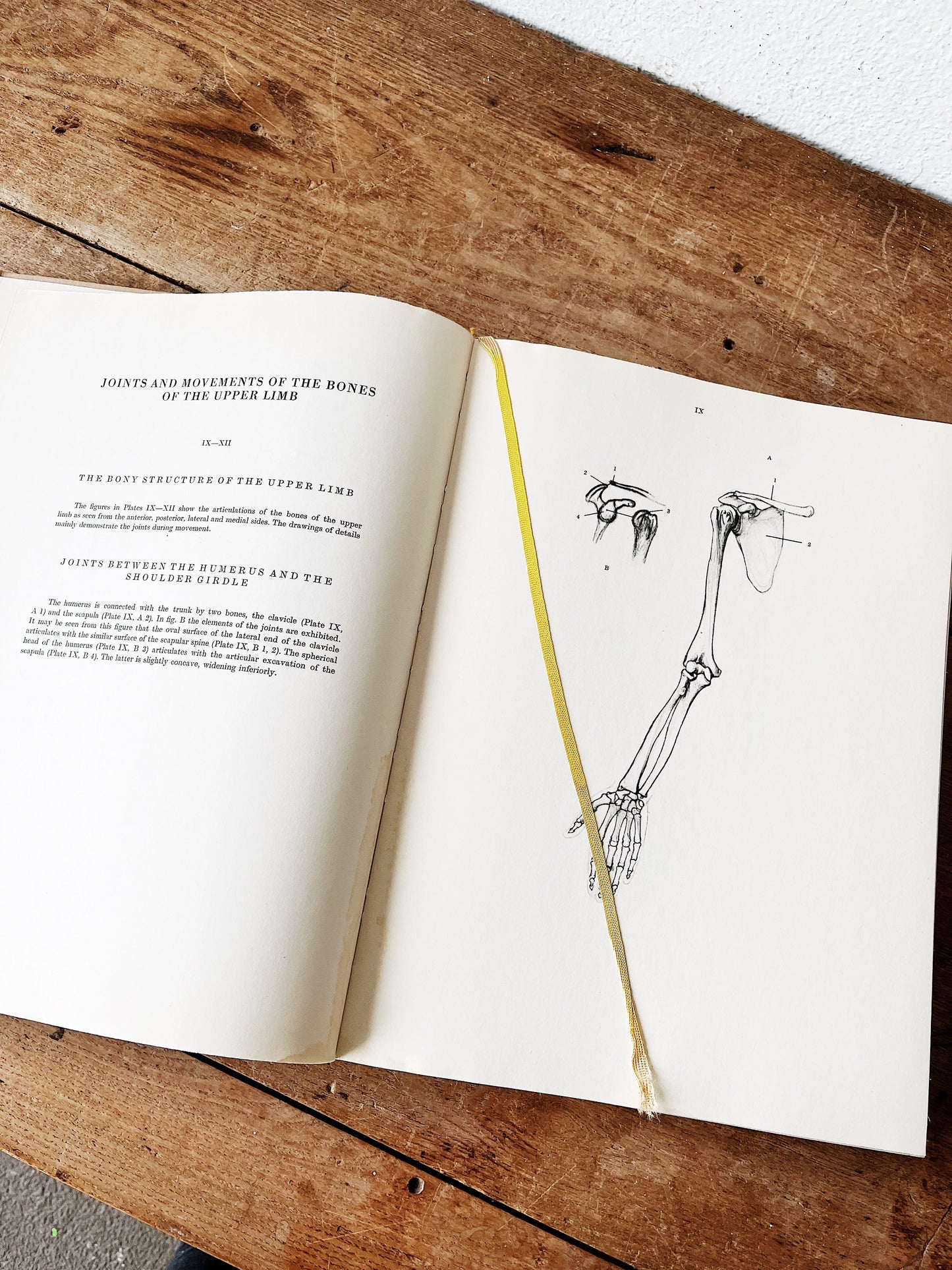 Mid Century Anatomy for the Artist Book