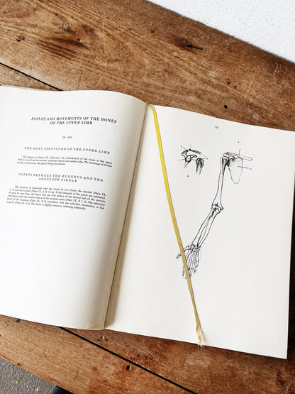 Mid Century Anatomy for the Artist Book