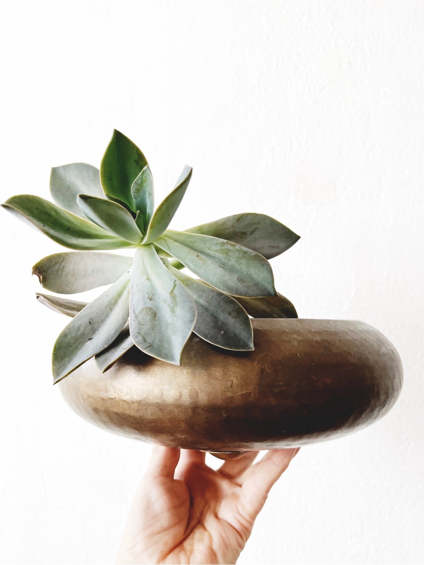 Vintage Brass Saucer Pot