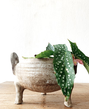 Antique Clay Urn/ Pot