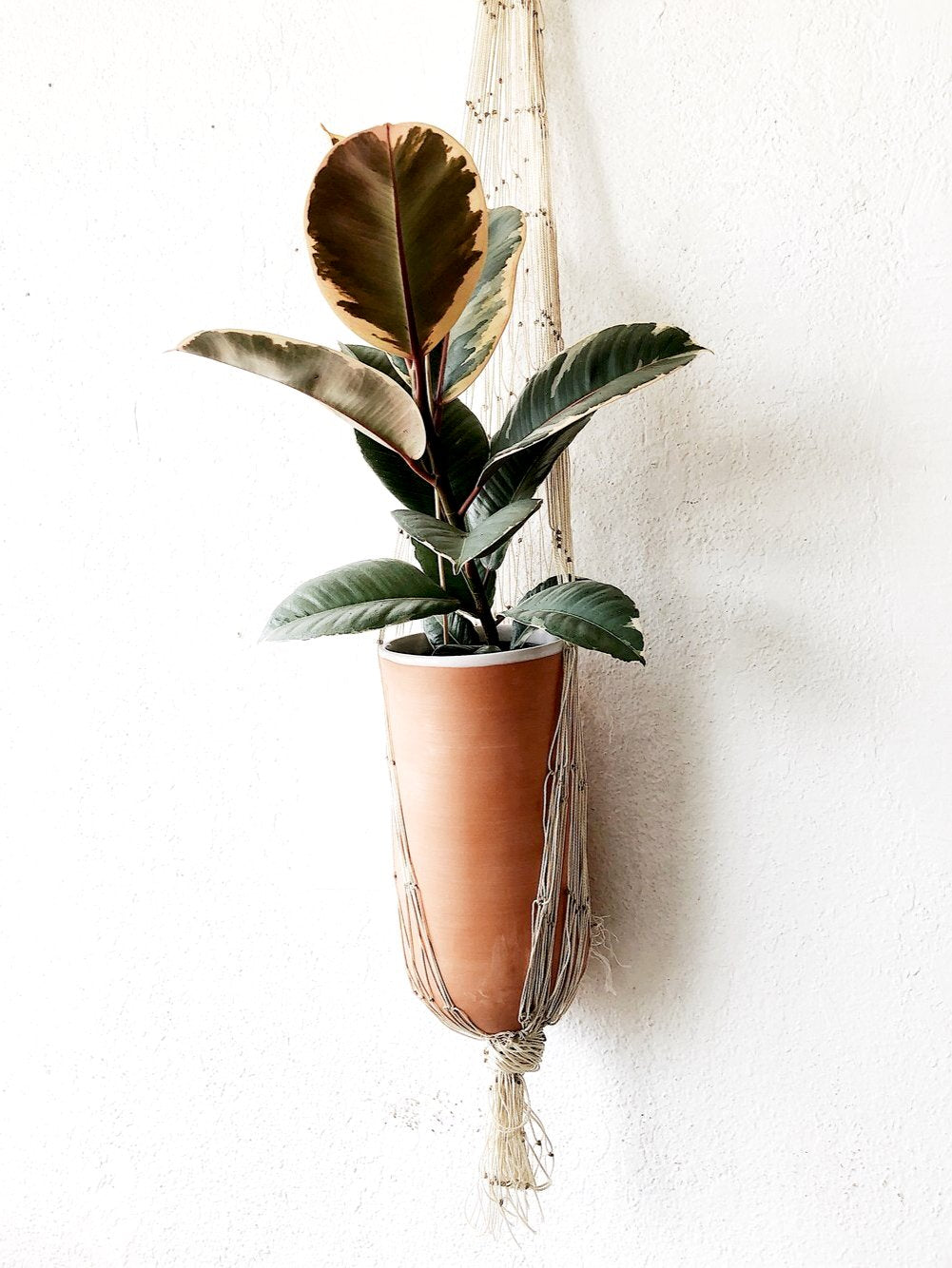 rubber hanging planter Netted Hanging Bullet Planter – Maven Collective