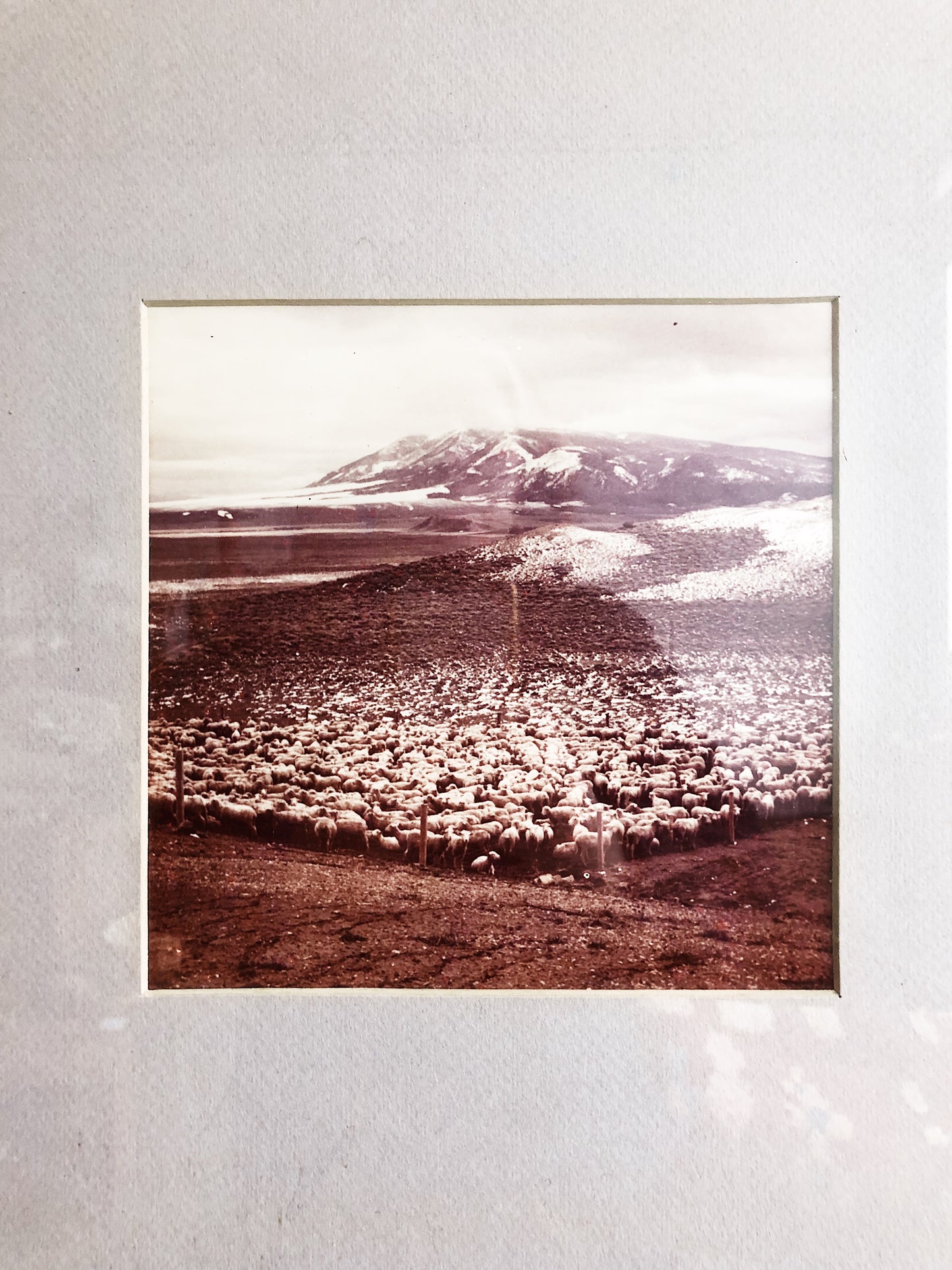 Vintage Icelandic Film Photo