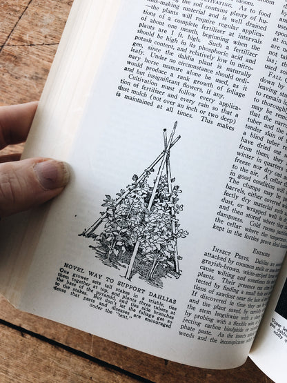 Vintage 1930s Leatherbound Gardening Encyclopedia