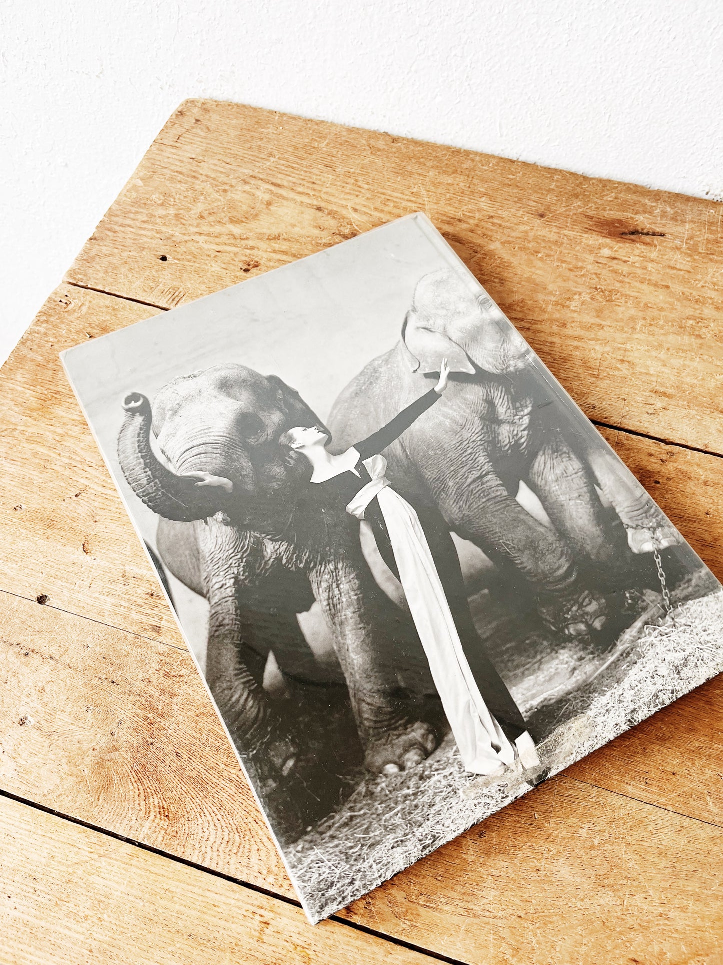 First Ed. Richard Avedon Photography Book