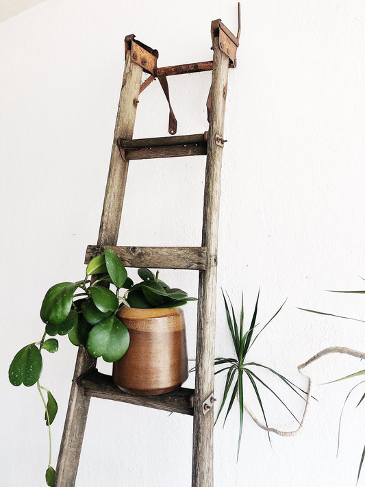 Vintage Industrial Orchard Ladder