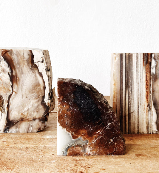Petrified Wood Book End