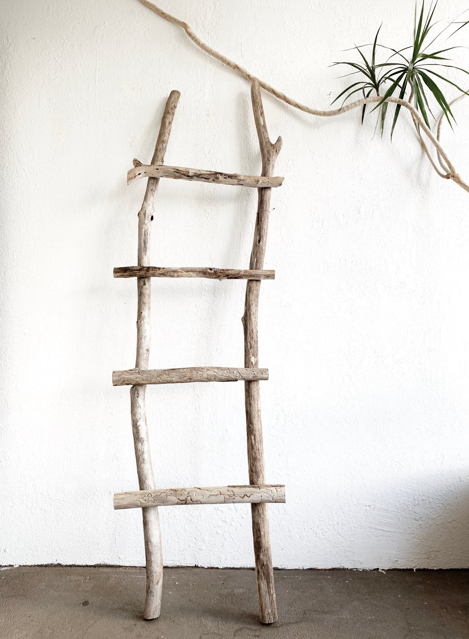 Driftwood Ladder