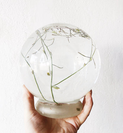 Vintage Terrarium