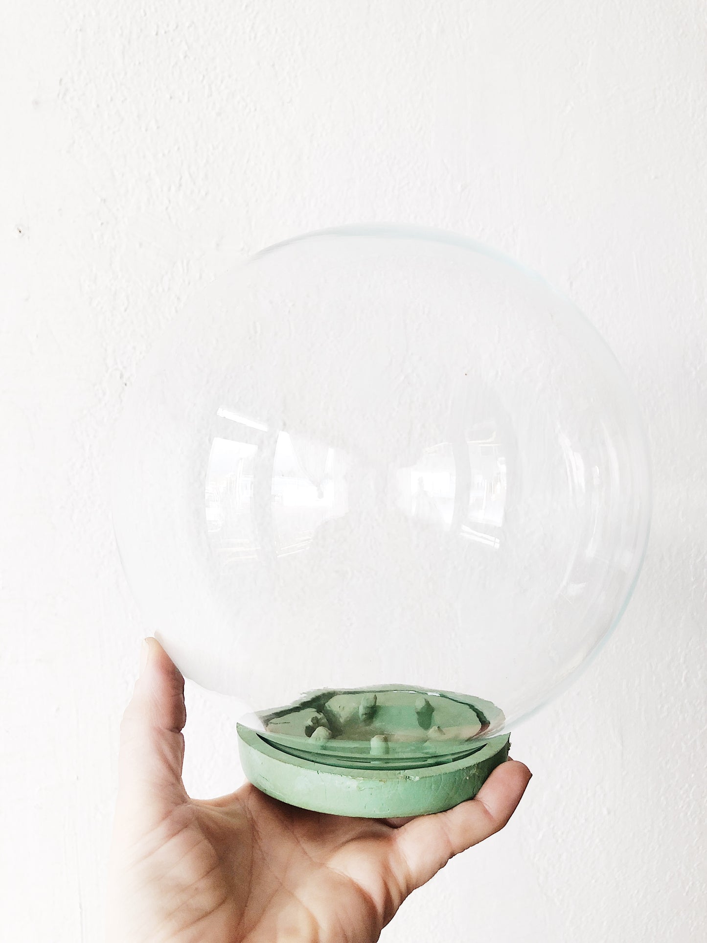 Vintage Plant Aquarium