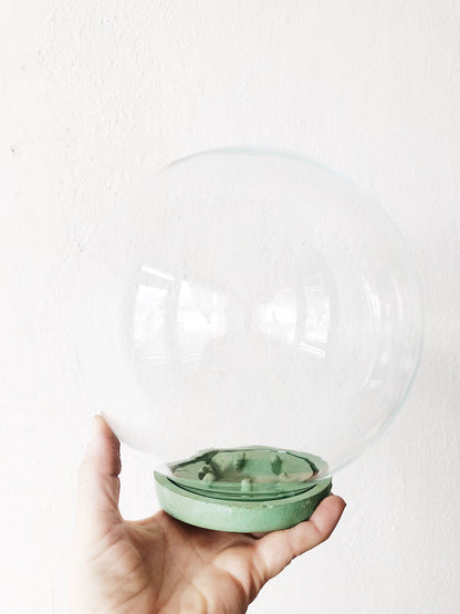 Vintage Plant Aquarium