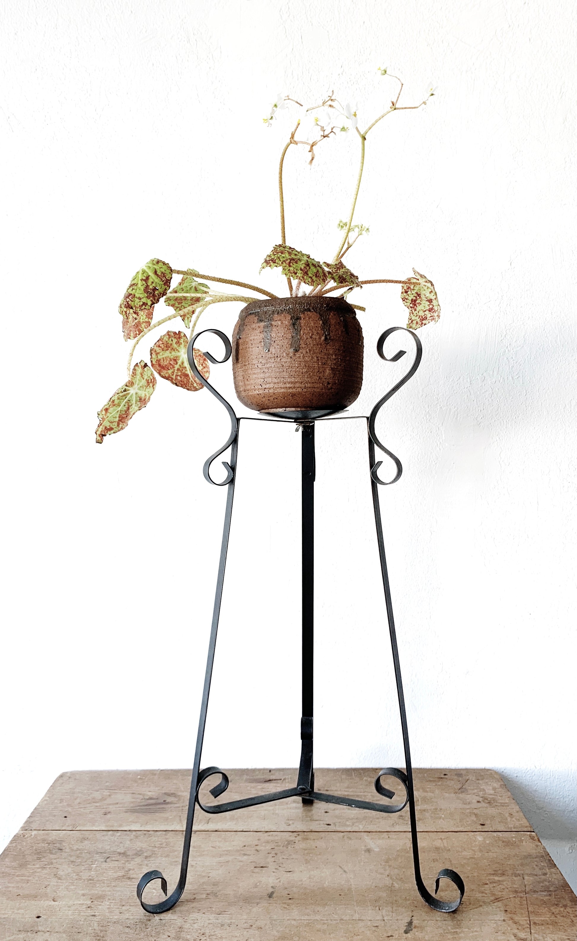 wrought iron plant hanger pole Antique Iron Plant Stand – Maven Collective
