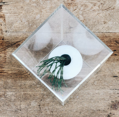 Vintage Lucite Photo Cube