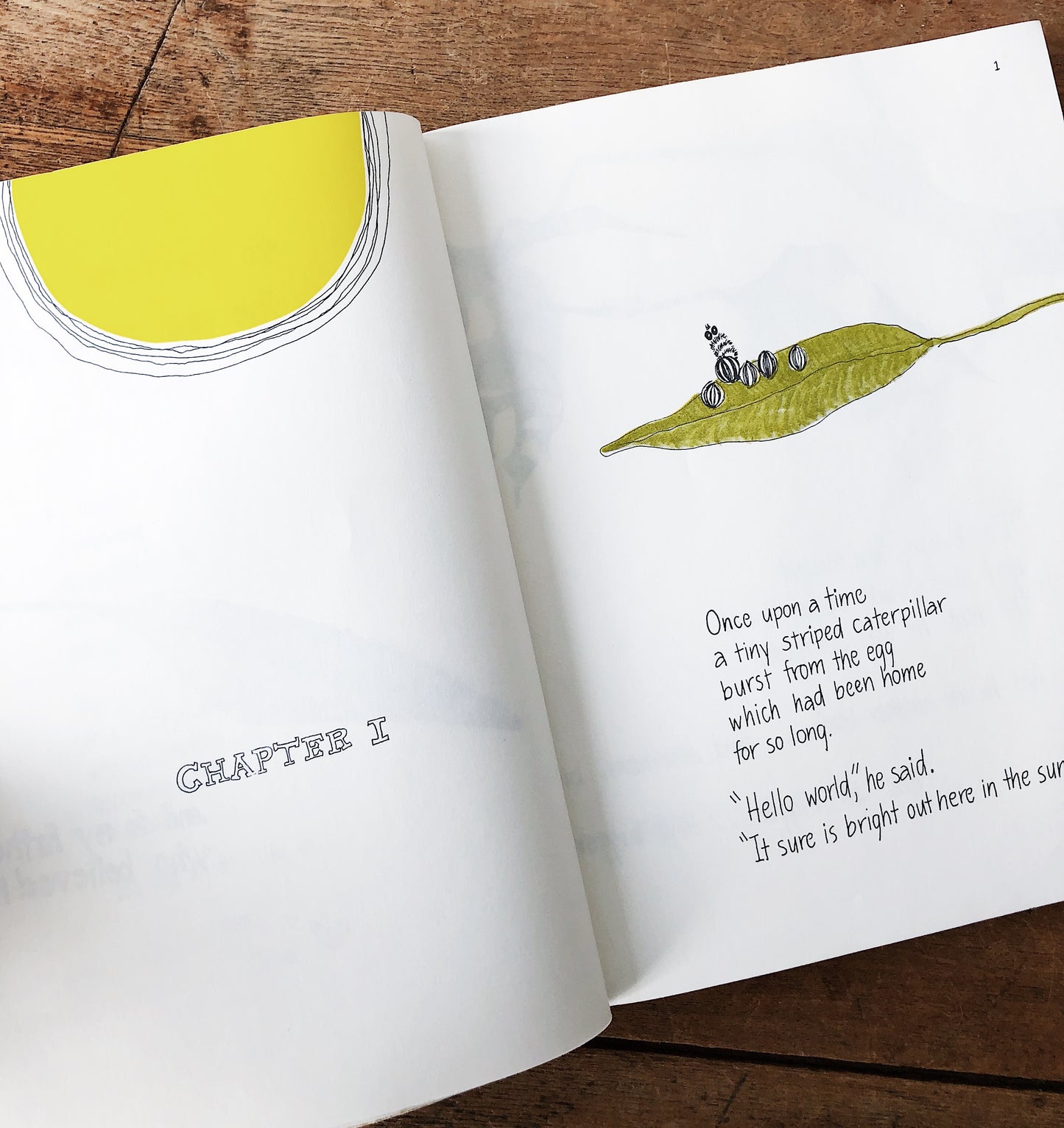 Hope for the Flowers