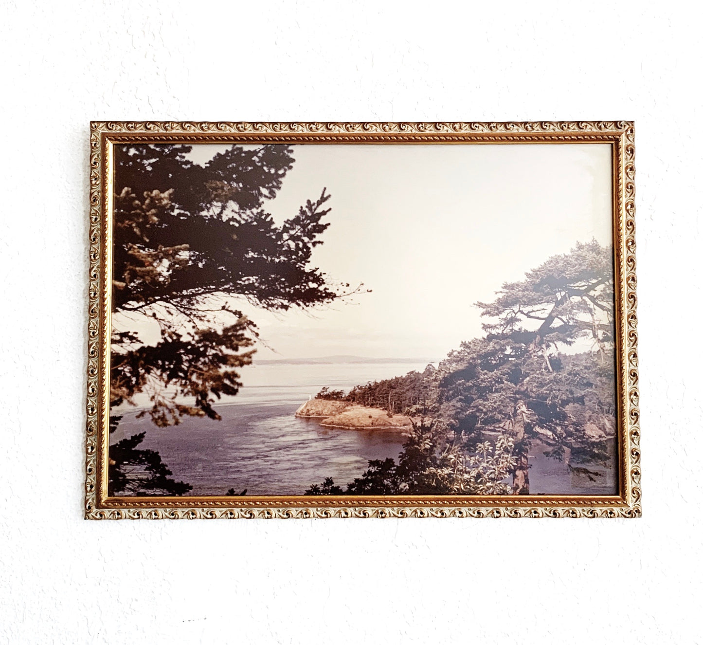 Large Vintage Framed Coastal Photograph