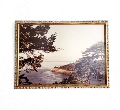 Large Vintage Framed Coastal Photograph